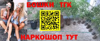 ПСИЛОЦИБИНОВЫЕ ГРИБЫ Аргун
