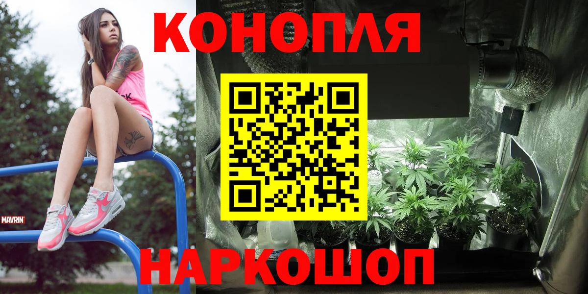 Бошки марихуана тримм  Вход с VPN  Канабис тримм  Марихуана конопля  Вятские Поляны 
